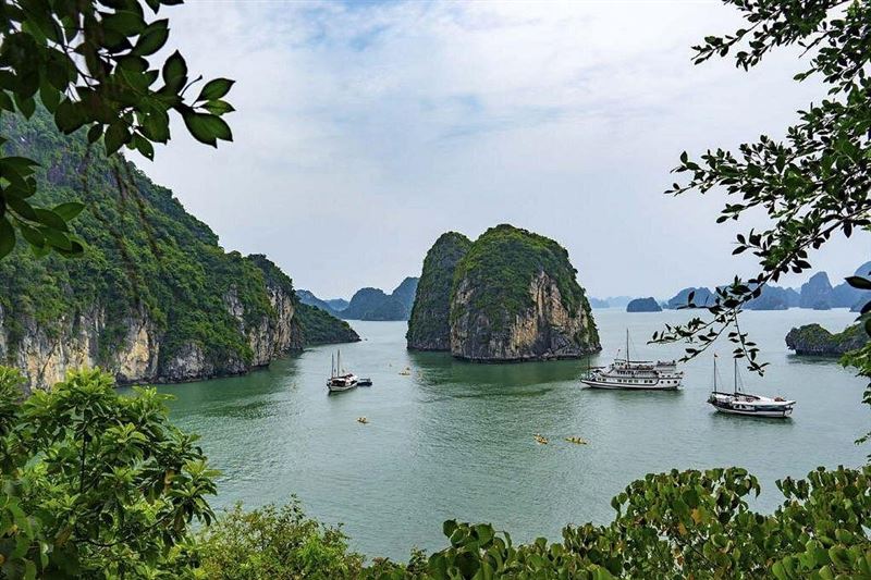 Deluxe Halong Bay Day Trip with Fast Expressway -Daily Operated 2025 + 2026